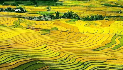 【立秋】葉落知秋，豐收正當(dāng)時(shí)